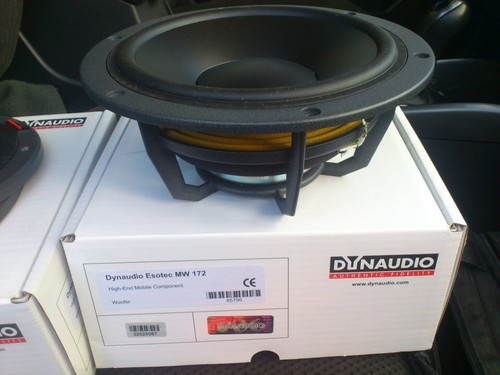 dynaudio mw 172